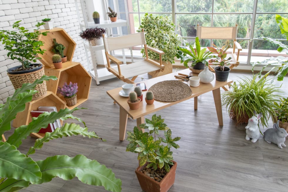 vegetable garden in apartment