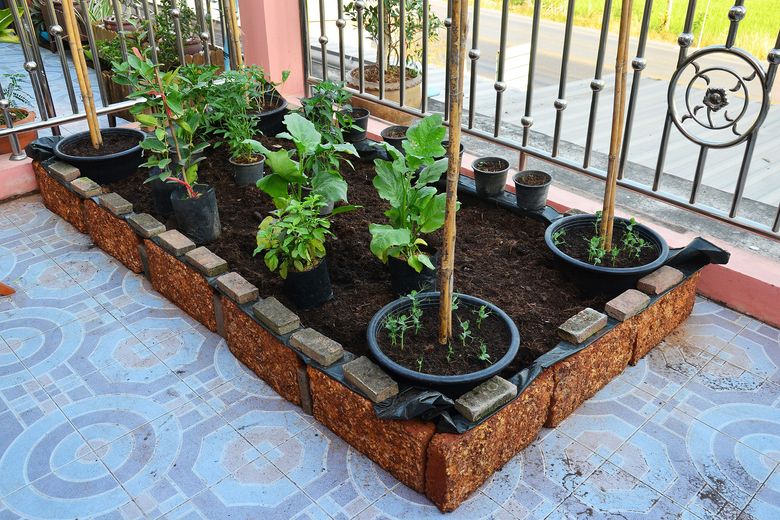 vegetable garden in apartment