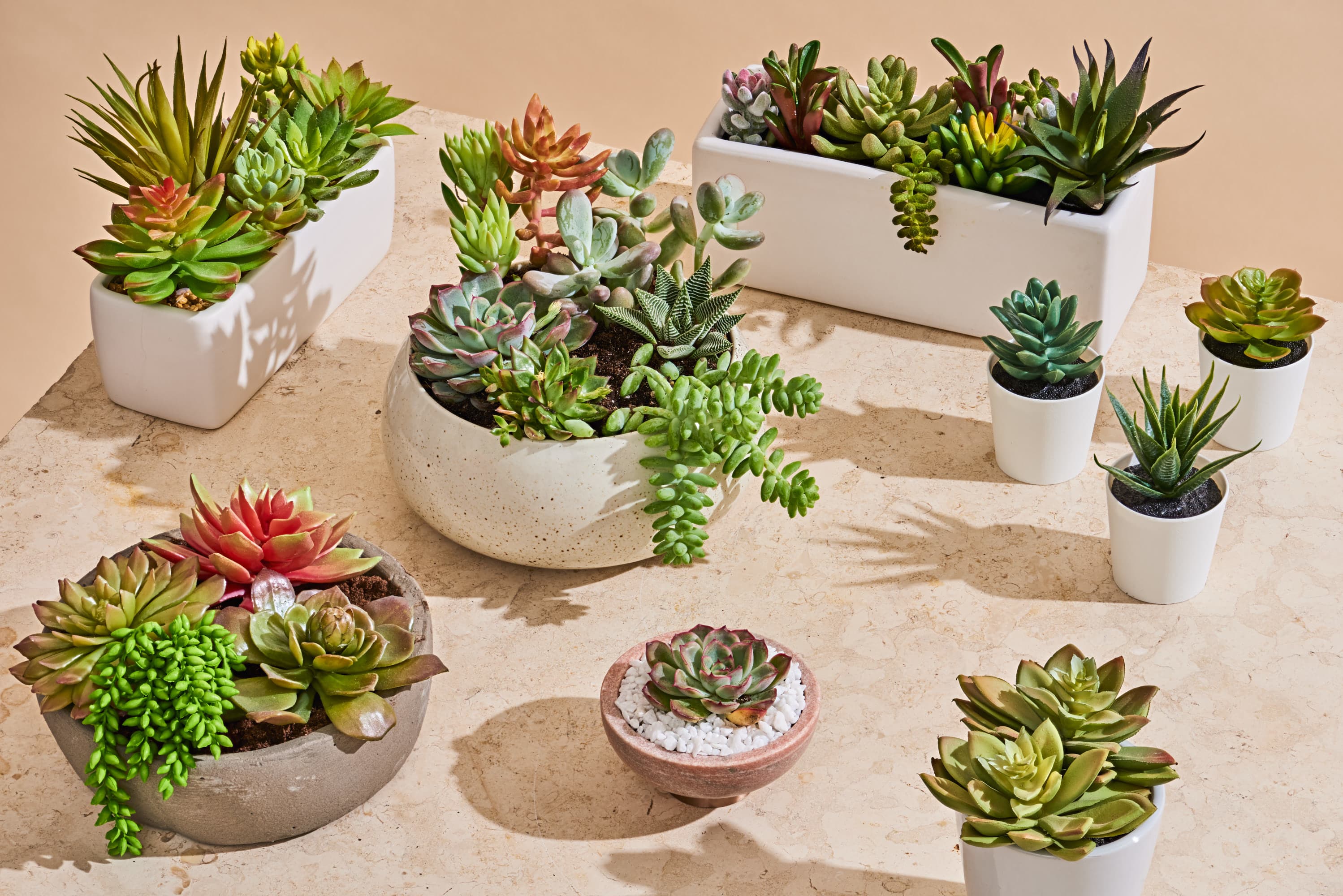 pots for succulents