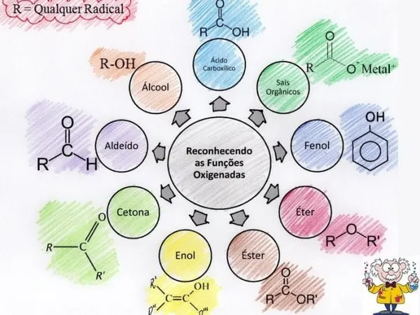 decoracao-as-funcoes-organicas