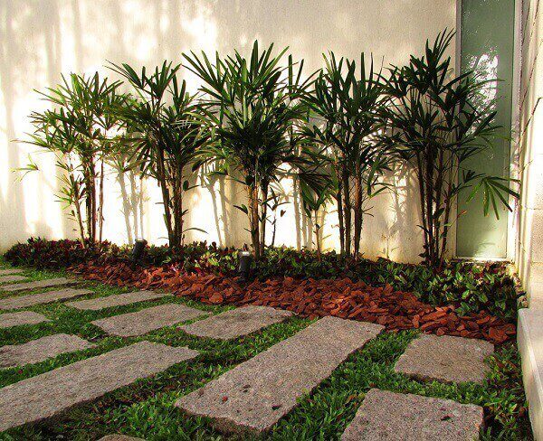 plantas-de-jardim