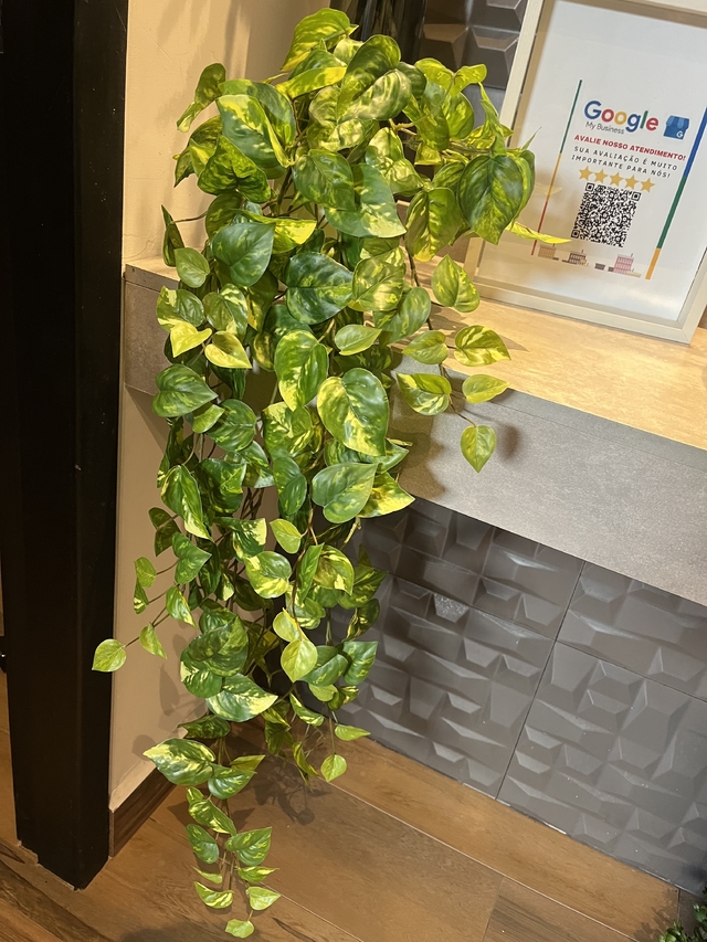 ideias-de-decoracao-com-jiboia