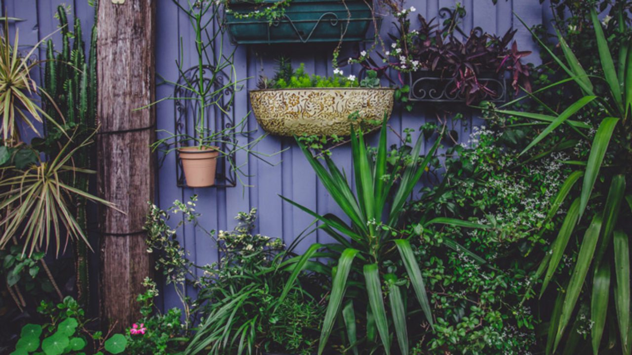 plantas-de-jardim
