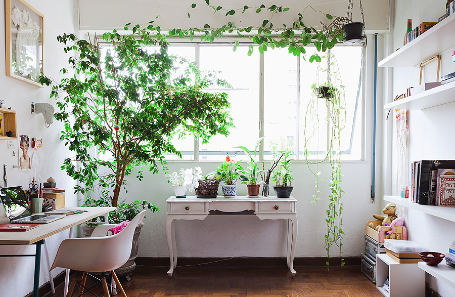 plantas-para-apartamento