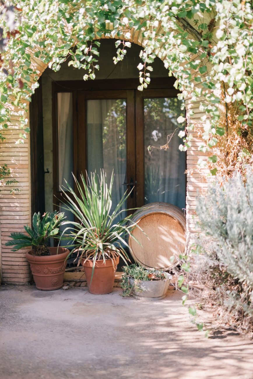 decoracao-de-quintal-com-plantas