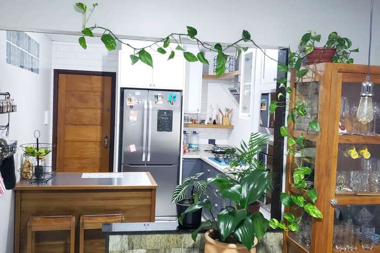 ideias-de-decoracao-com-jiboia