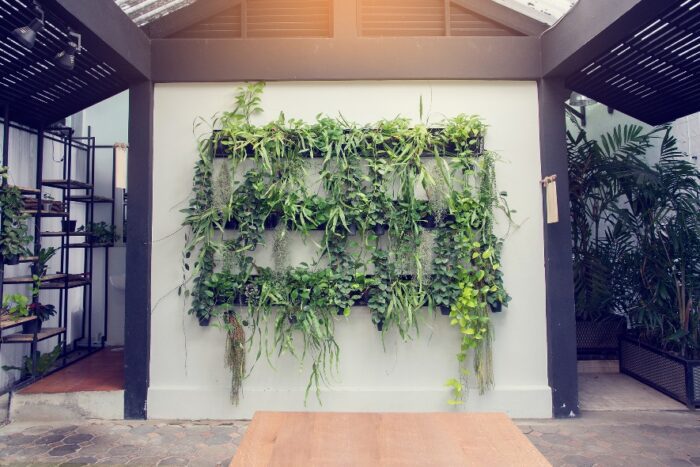 plantas-de-jardim