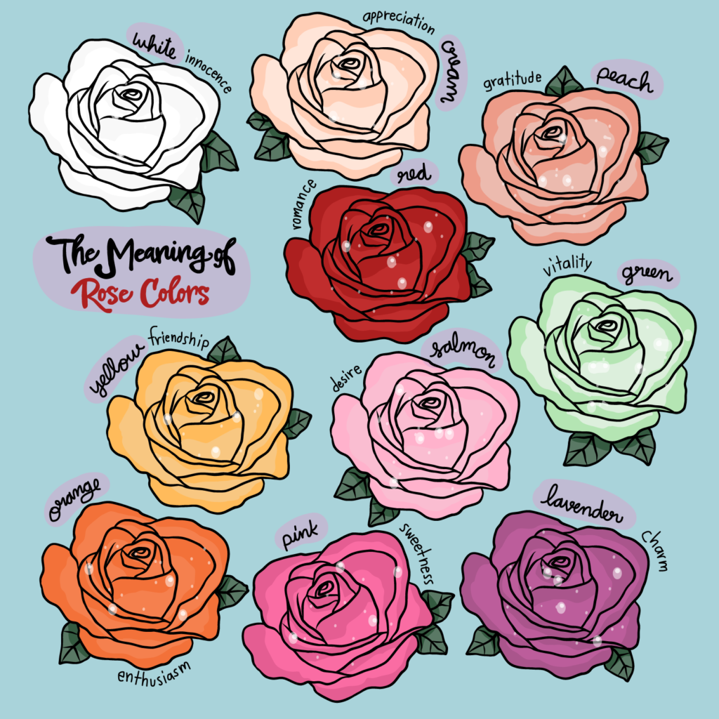cor-rose
