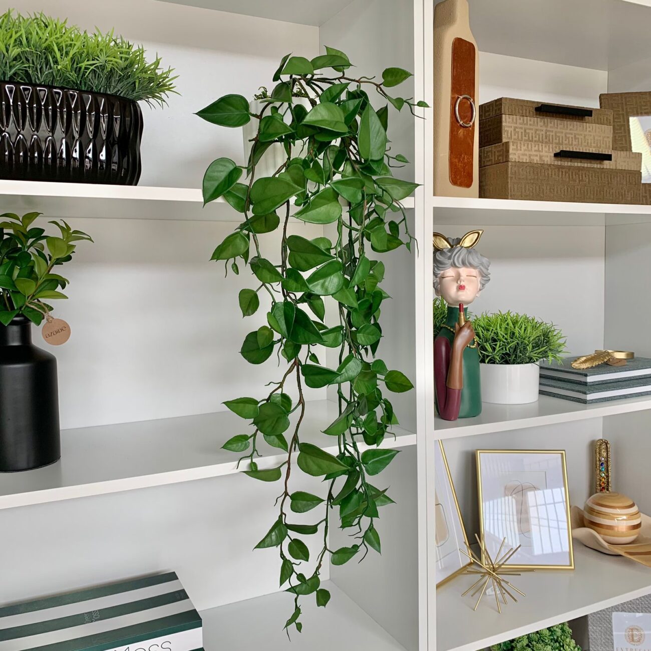 ideias-de-decoracao-com-jiboia