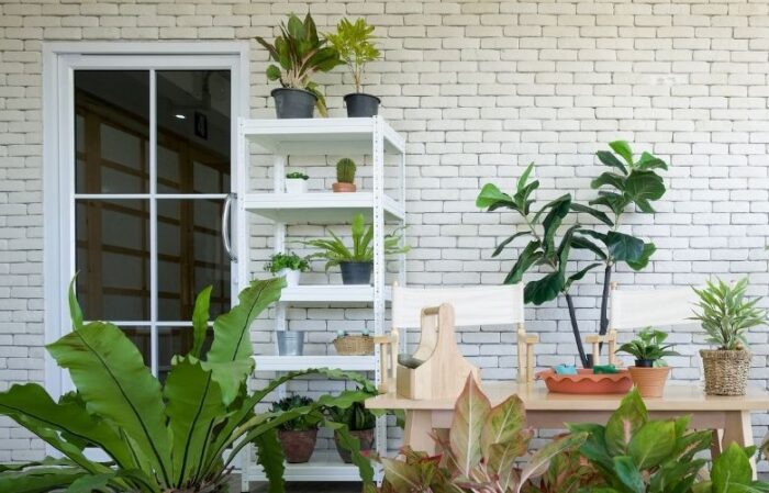 plantas-de-jardim