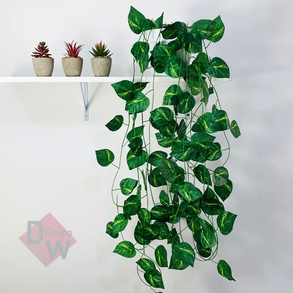 ideias-de-decoracao-com-jiboia