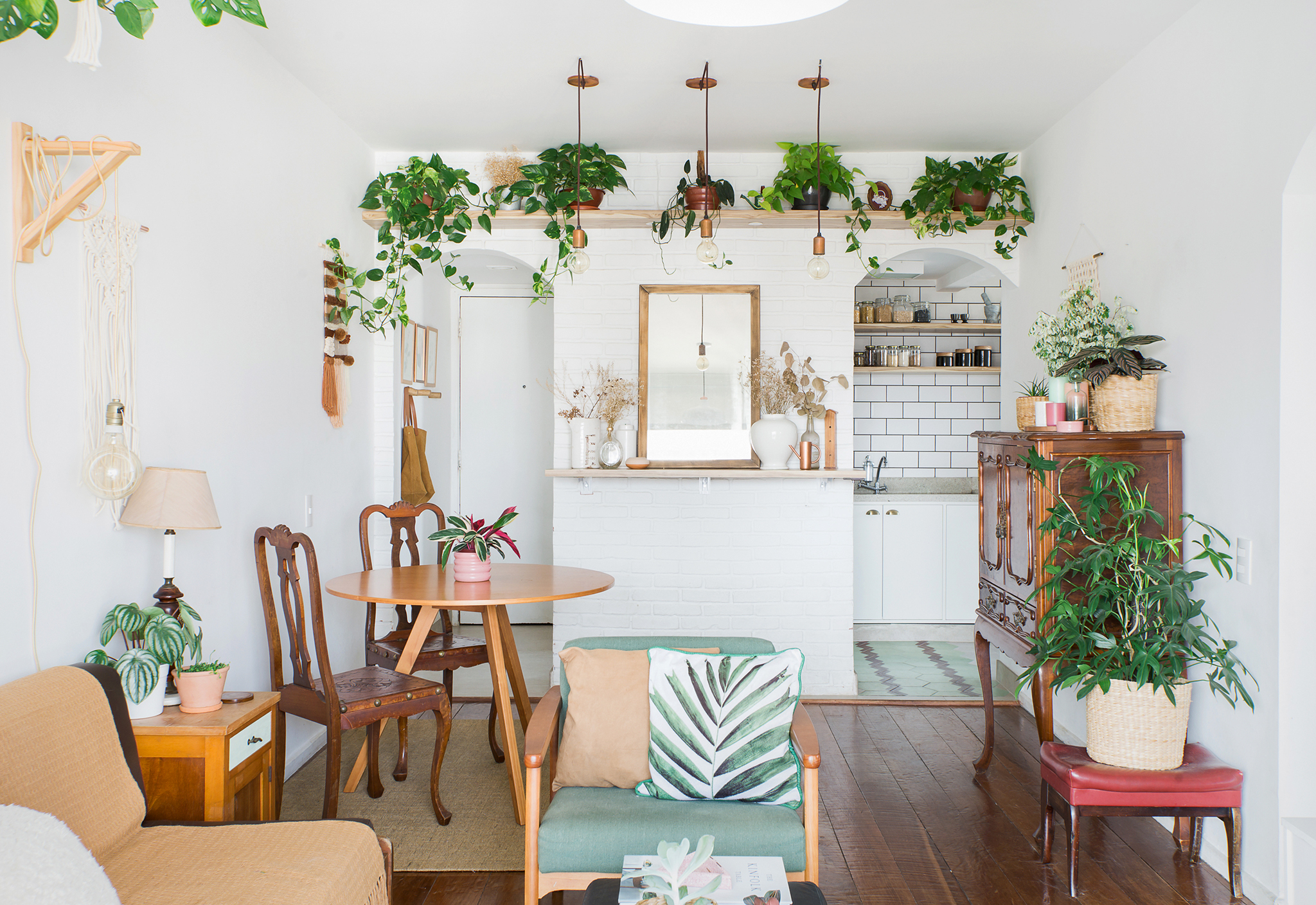 plantas-para-apartamento
