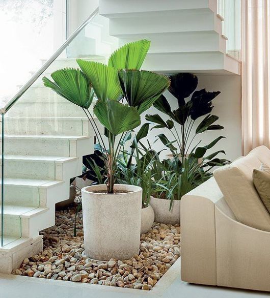 plantas-de-jardim
