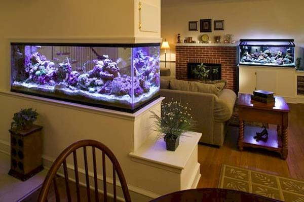decoracao-com-aquario-na-sala-ou-no-quarto