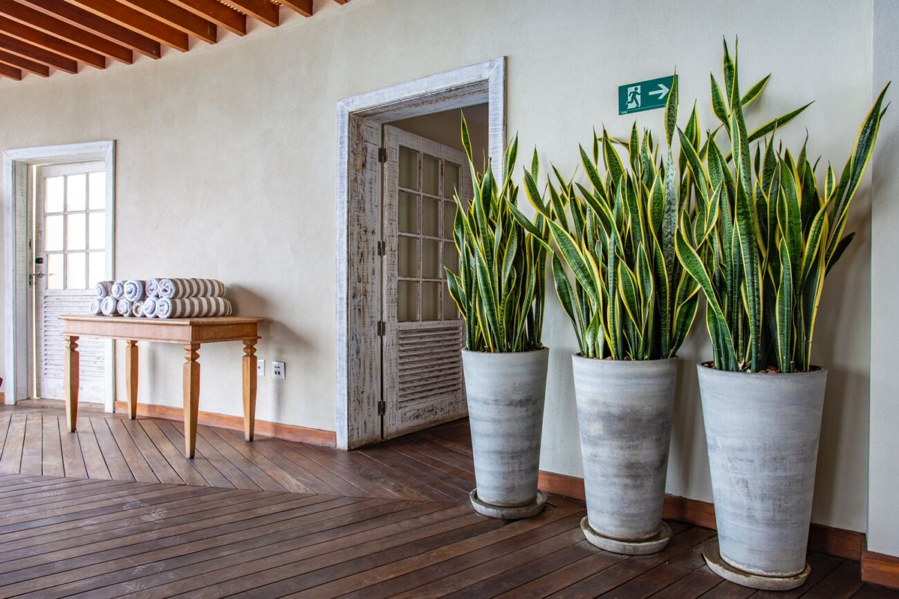 decoracao-de-apartamento-com-plantas-2