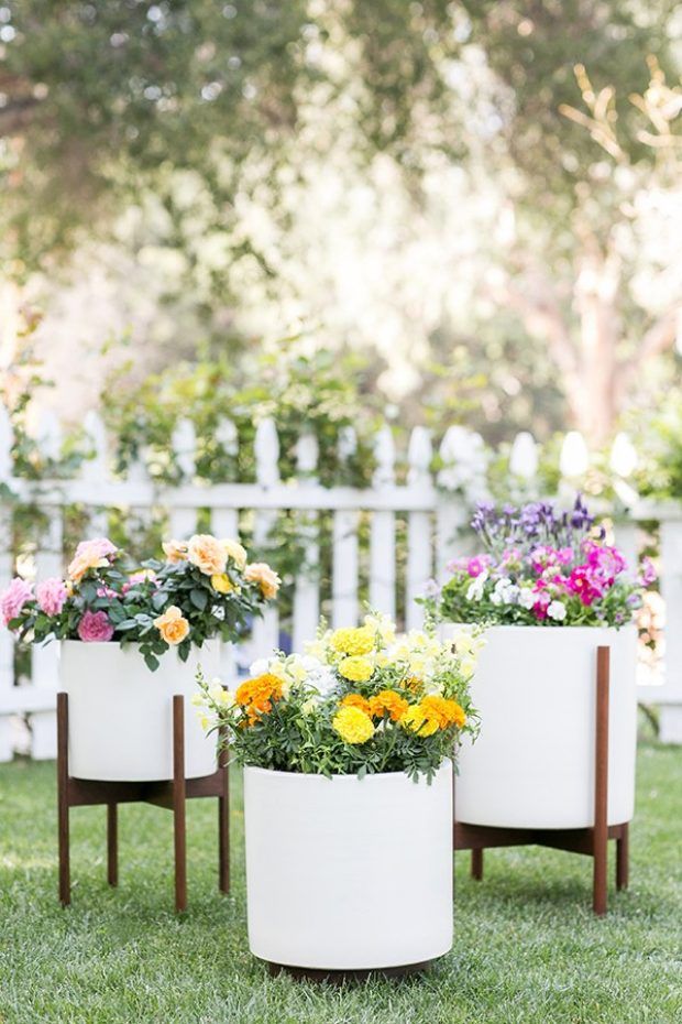 plantas-de-jardim