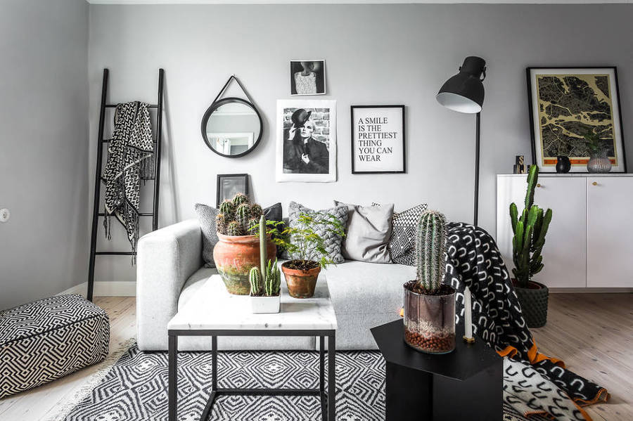 plantas-para-apartamento