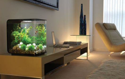 decoracao-com-aquario-na-sala-ou-no-quarto