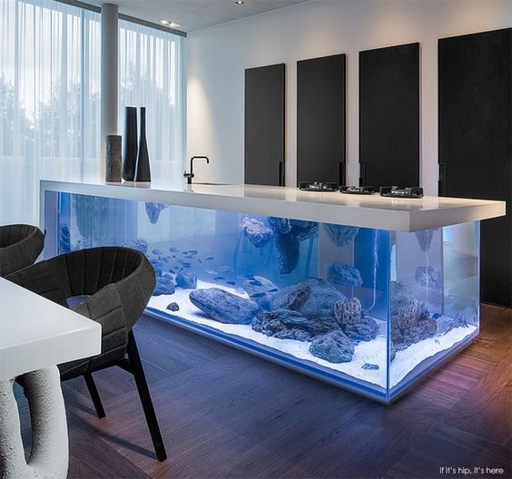 decoracao-com-aquario-na-sala-ou-no-quarto