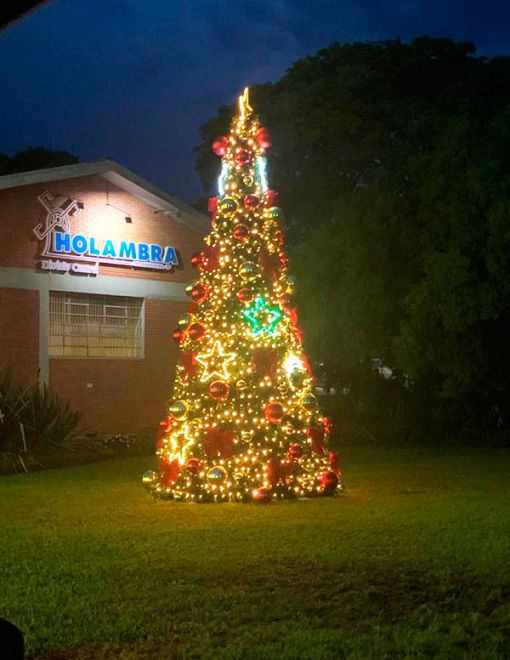 decoracao-de-natal-para-area-externa-2