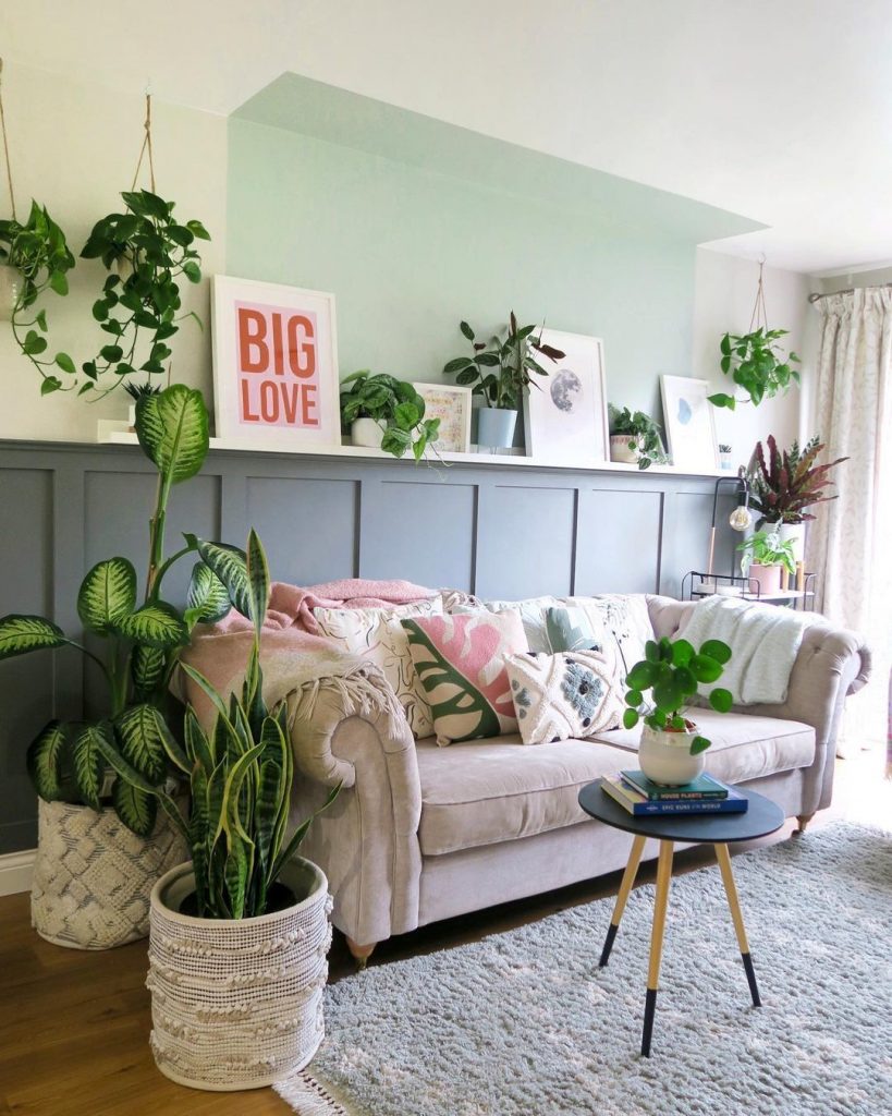 plantas-para-apartamento