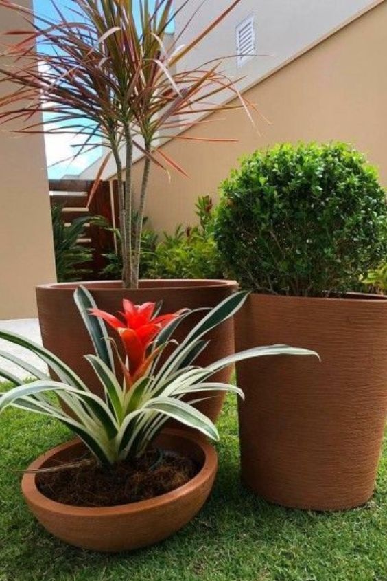 decoracao-de-jardim
