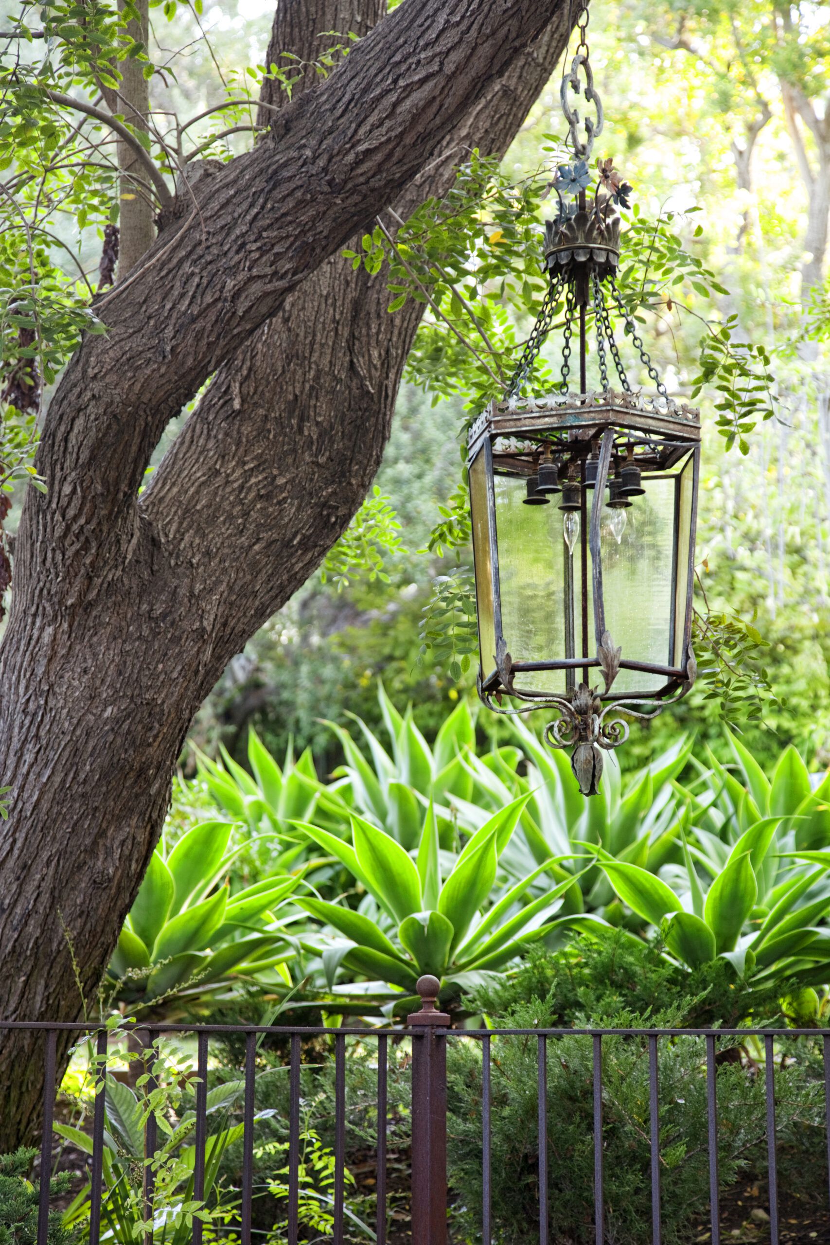 plantas-de-jardim