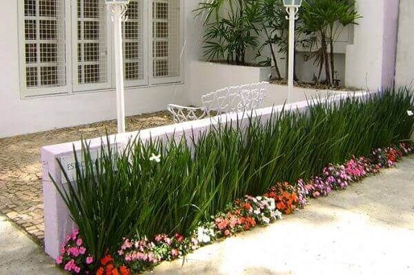 plantas-de-jardim