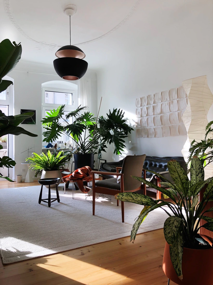 plantas-para-apartamento