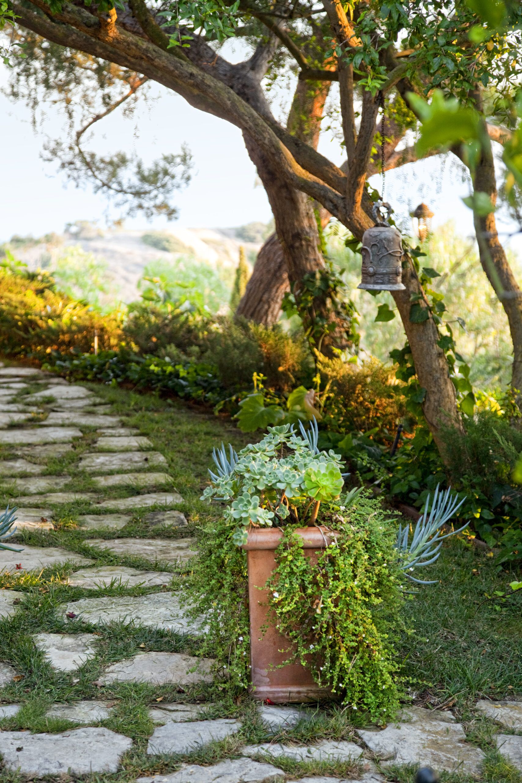 plantas-de-jardim