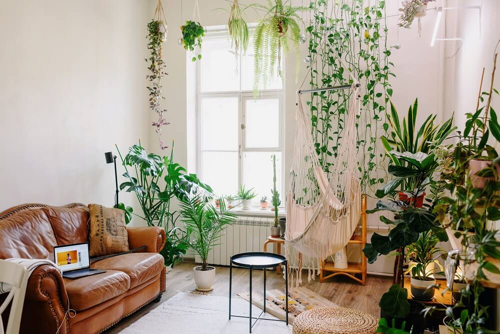 plantas-para-apartamento