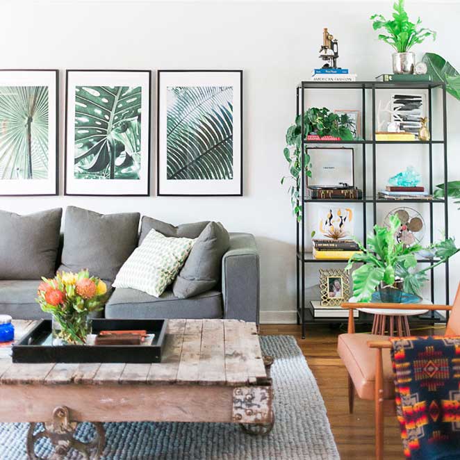 plantas-para-apartamento