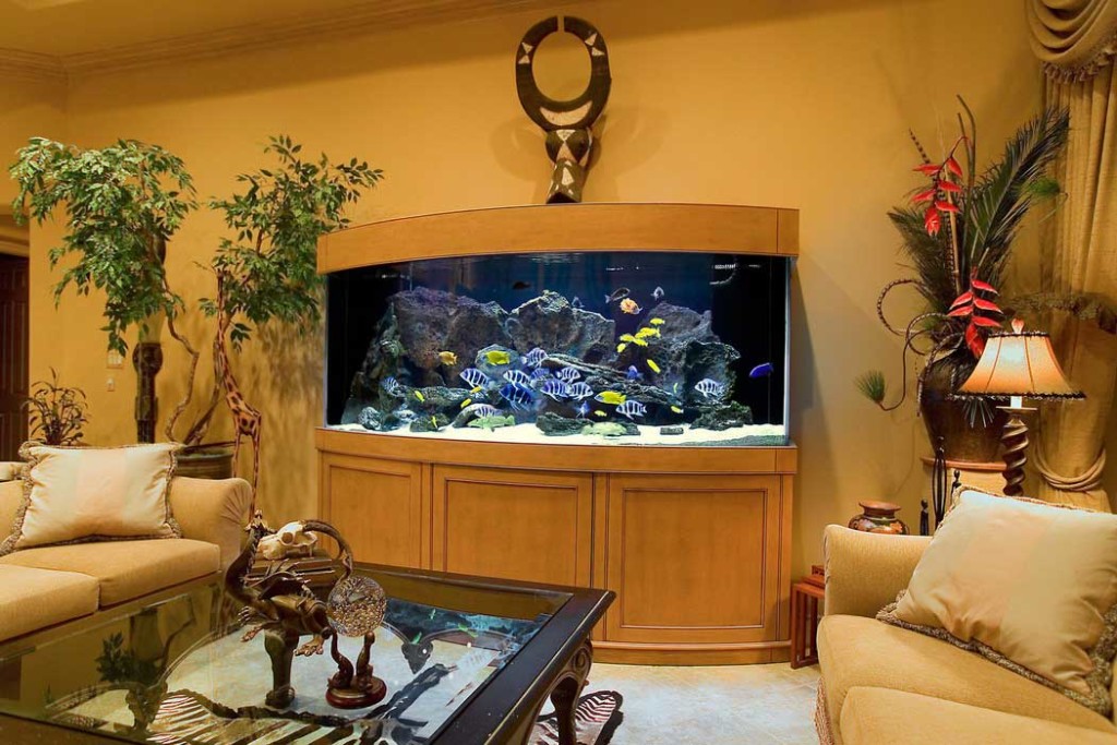 decoracao-com-aquario-na-sala-ou-no-quarto