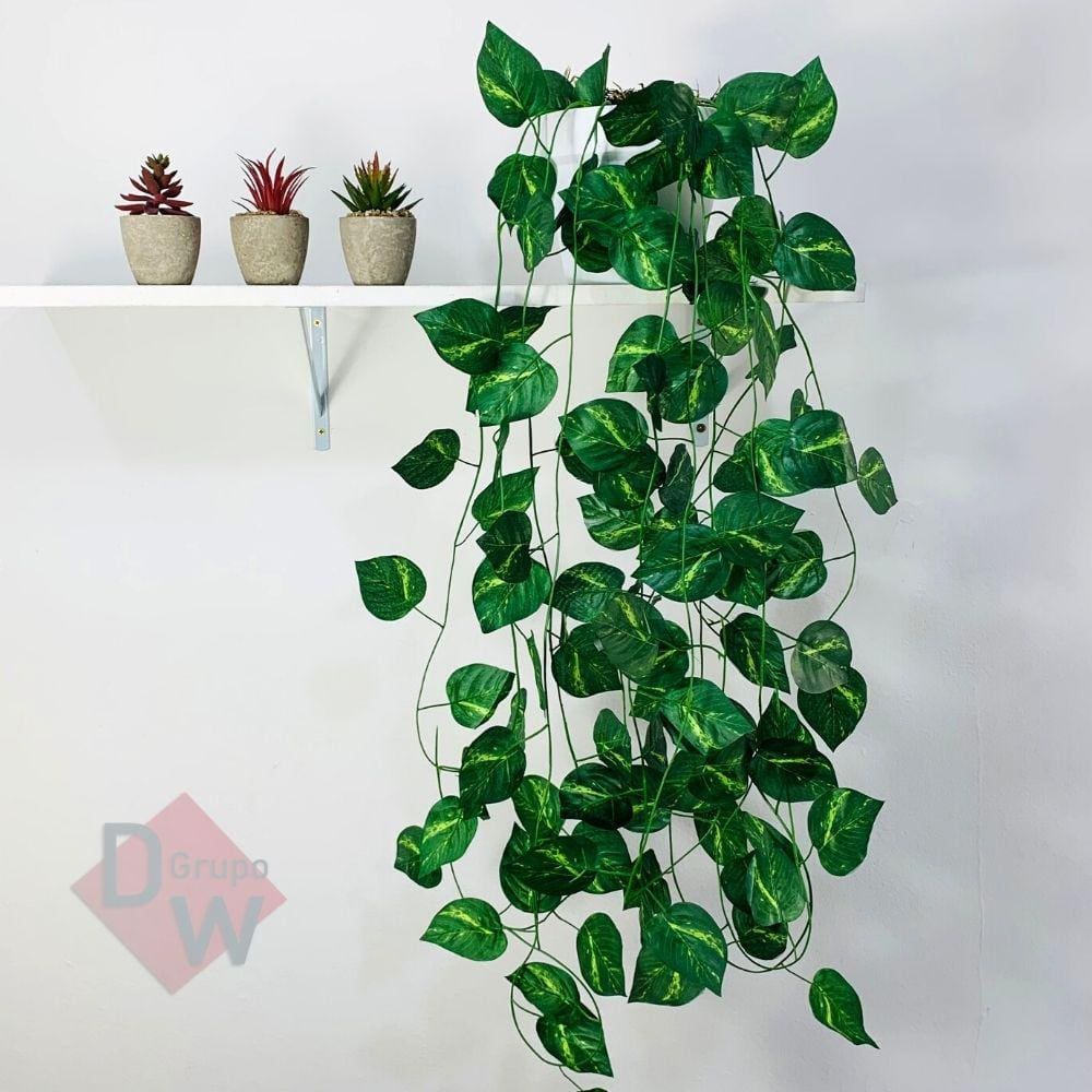 ideias-de-decoracao-com-jiboia
