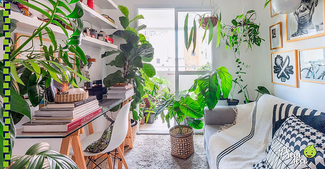 decoracao-de-apartamento-com-plantas-2