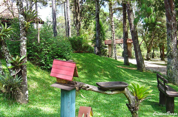 decoracao-de-jardim