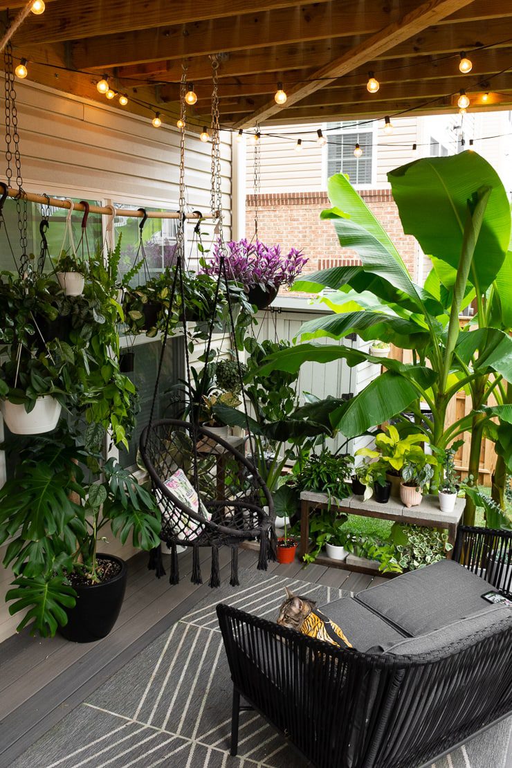 plantas-de-jardim