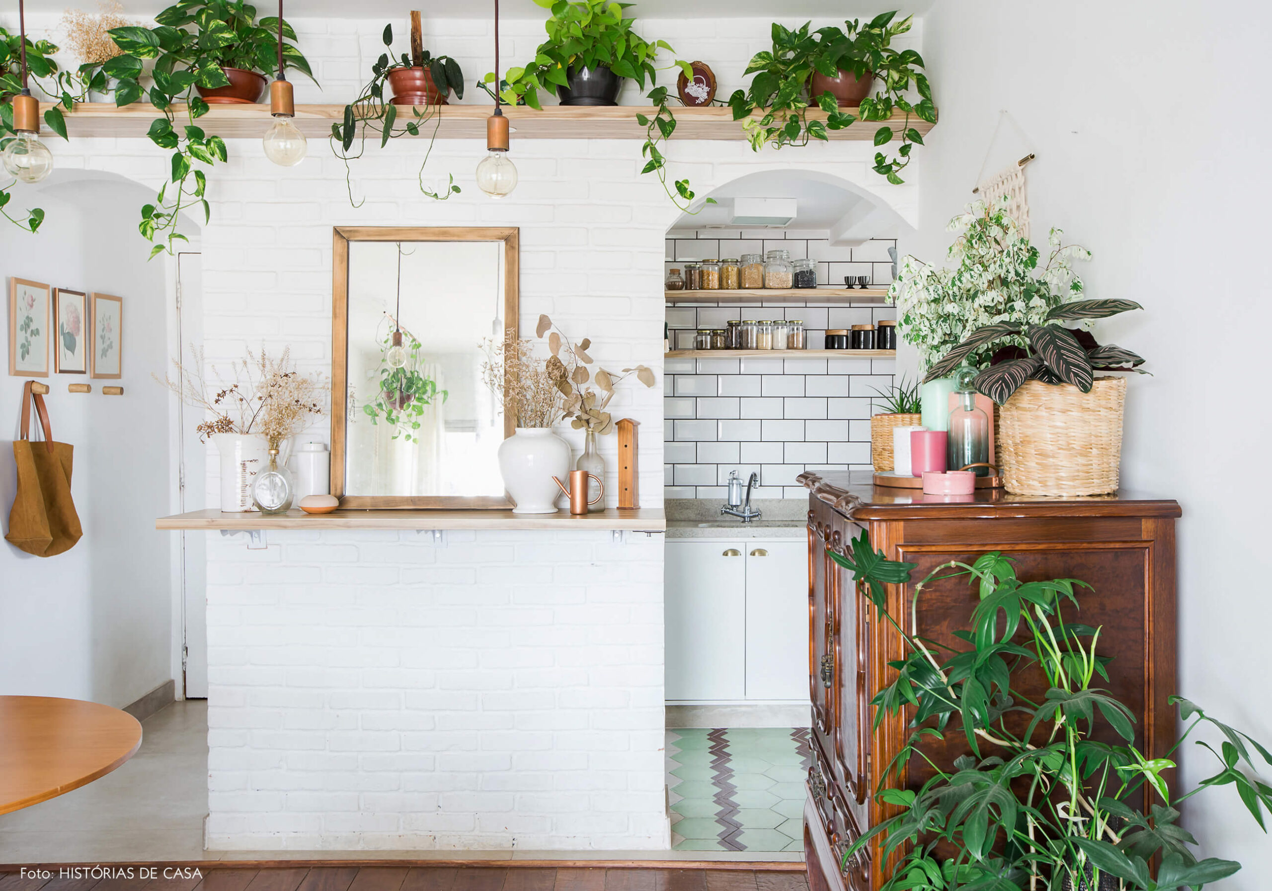 plantas-para-apartamento