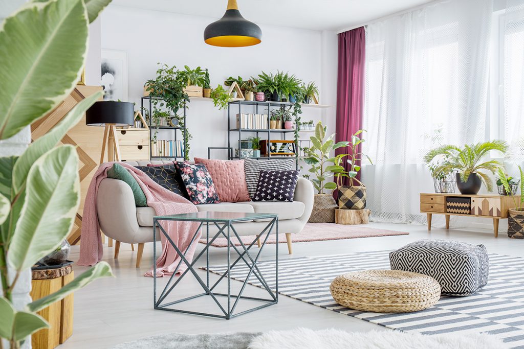 plantas-para-apartamento