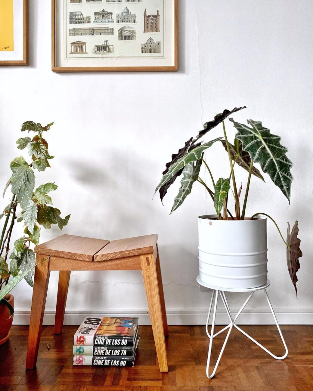 decoracao-de-apartamento-com-plantas-2