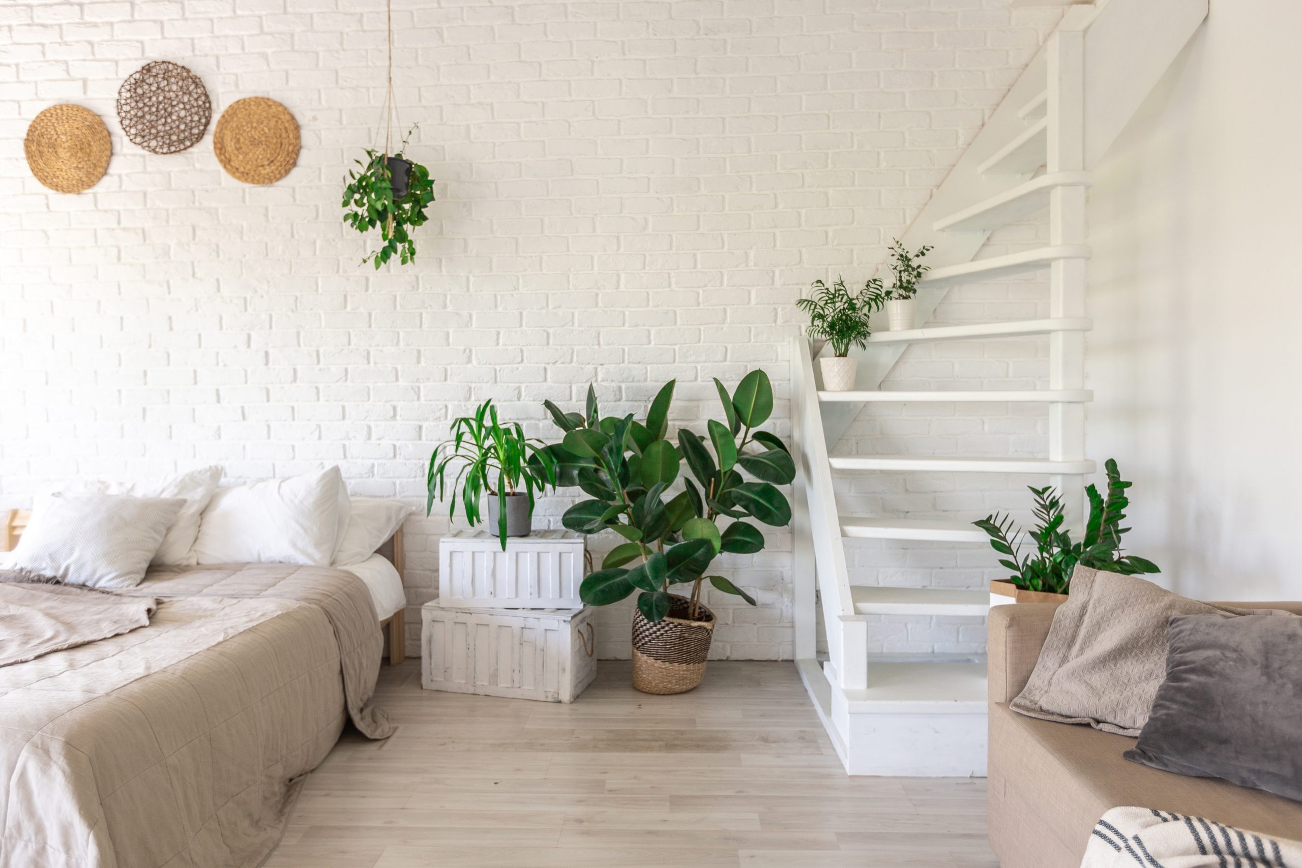 plantas-para-apartamento