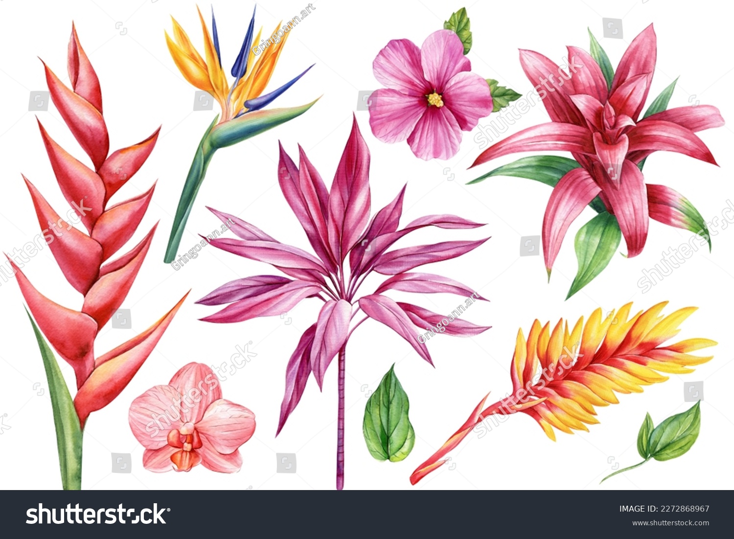 bromelia-2