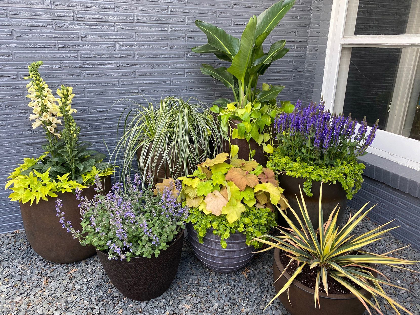 plantas-de-jardim