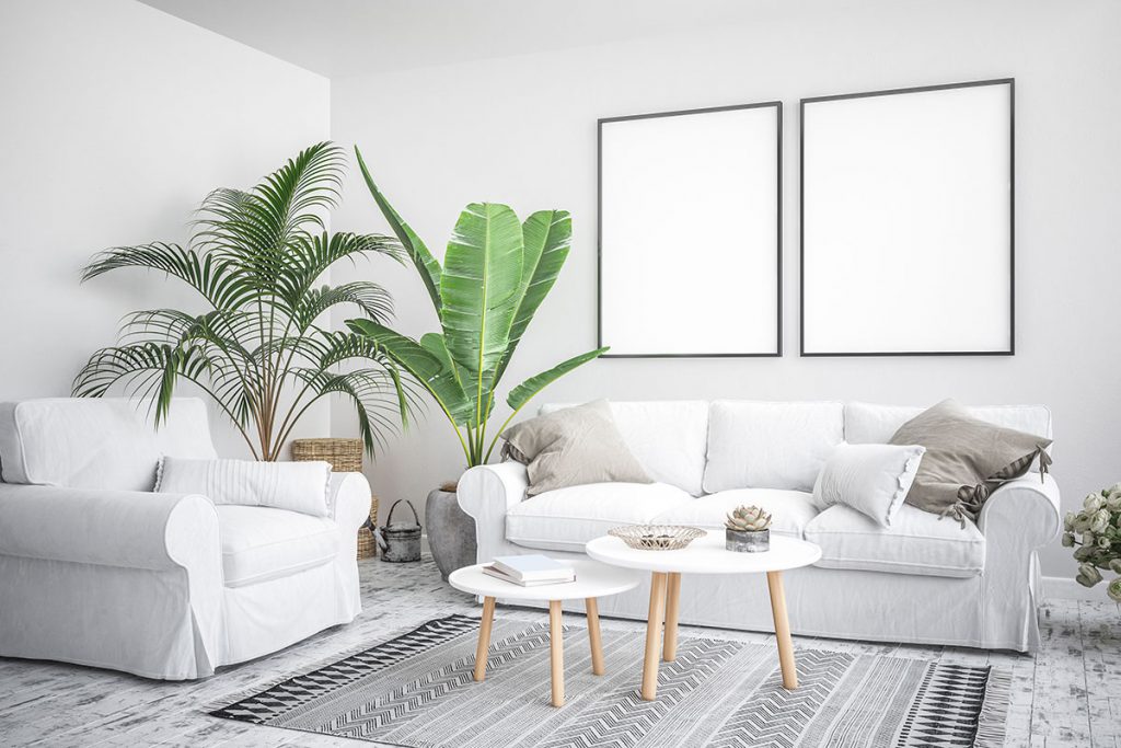 plantas-para-apartamento