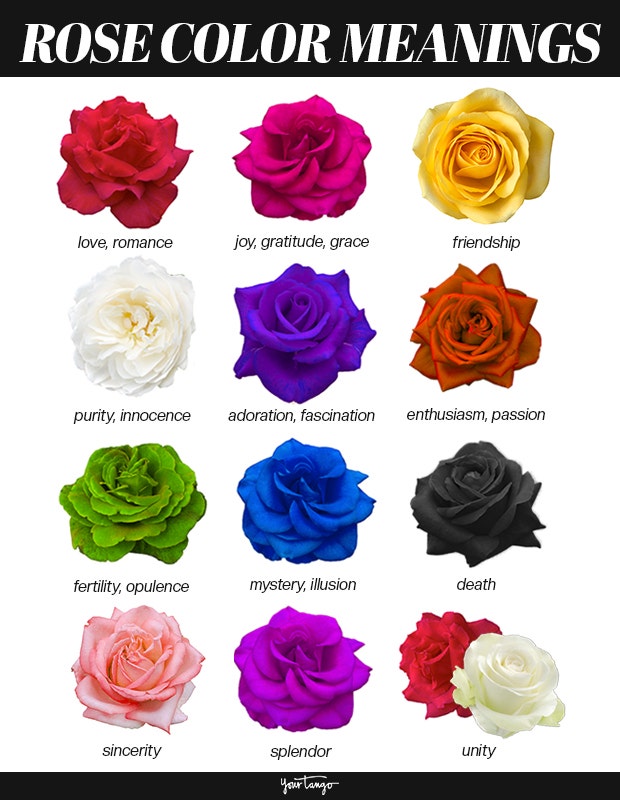 cor-rose
