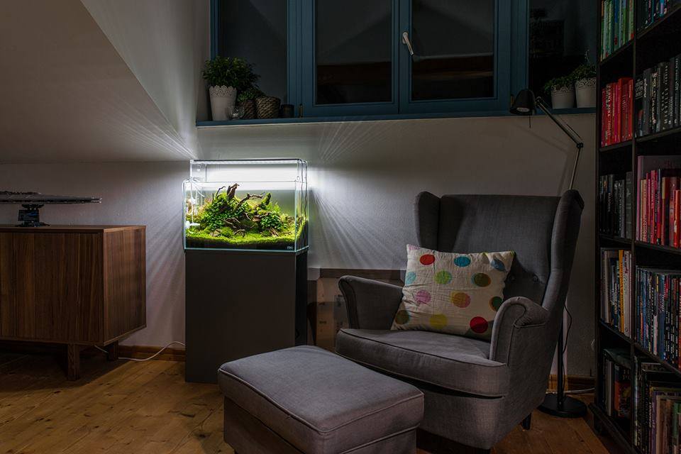 decoracao-com-aquario-na-sala-ou-no-quarto