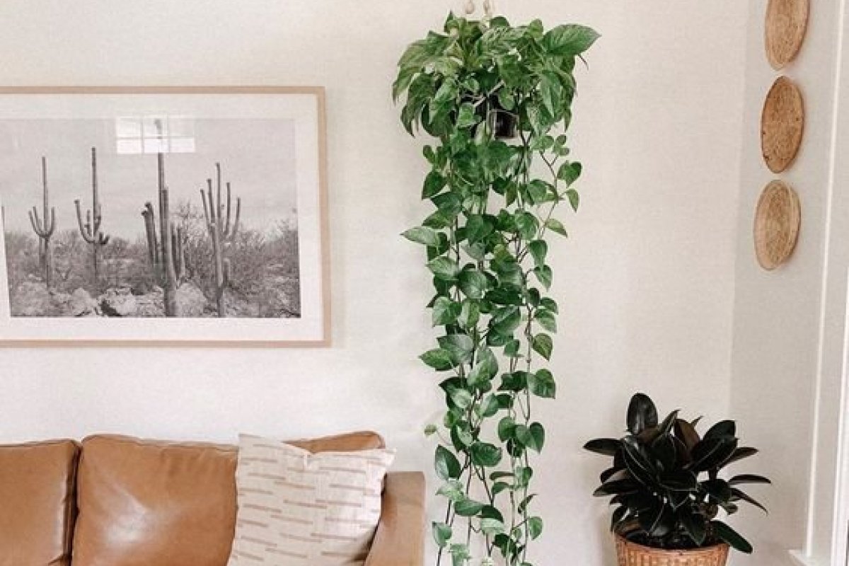decoracao-de-apartamento-com-plantas-2
