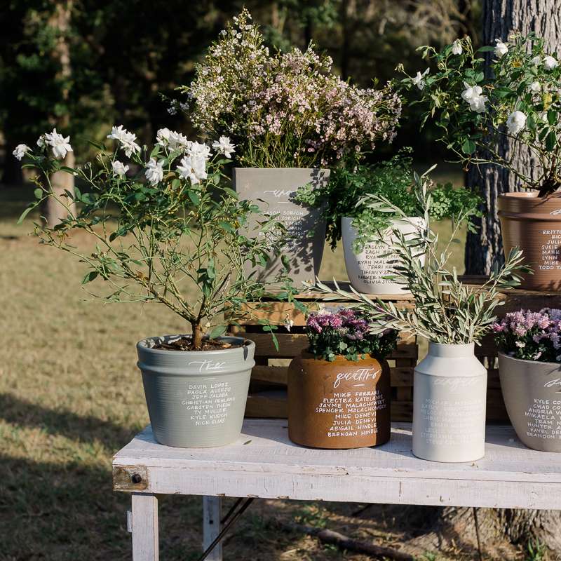 plantas-de-jardim