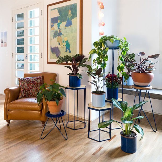 plantas-para-apartamento