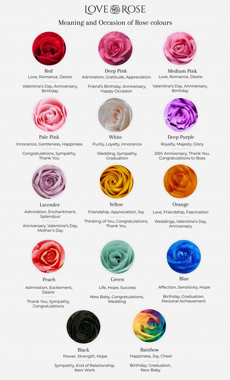 cor-rose